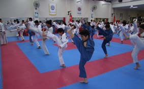 Yang's Taekwondo is a large full time centre with plenty of space and quality instructors