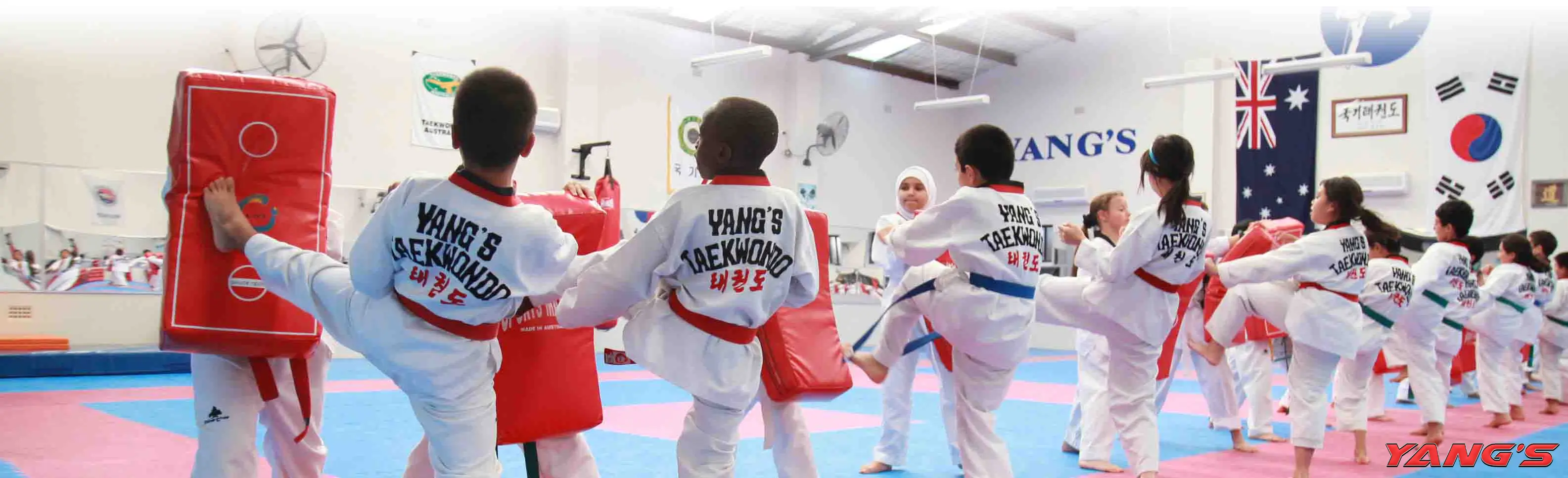 Yang's Taekwondo Academy